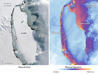 Image: NASA Earth Observatory